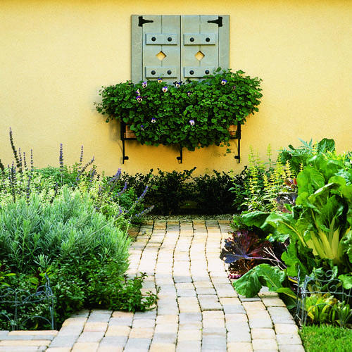 Градина за отглеждане на зеленчуци и билки