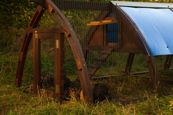 Кокоши трактор