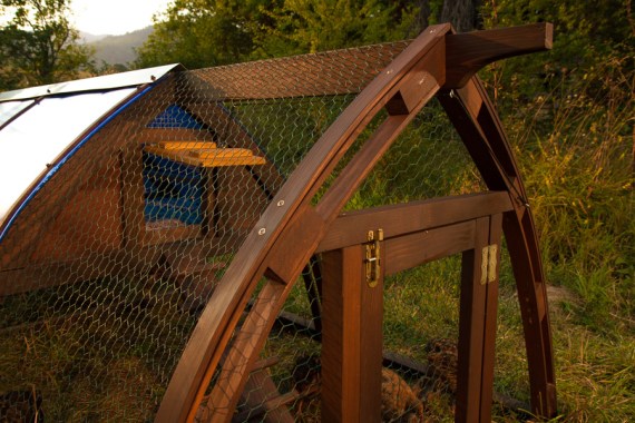 Кокоша каравана