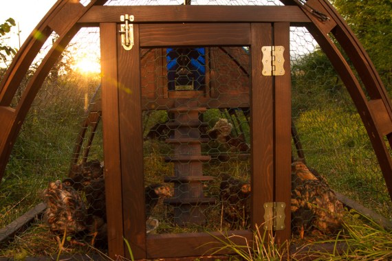 Кокоша каравана